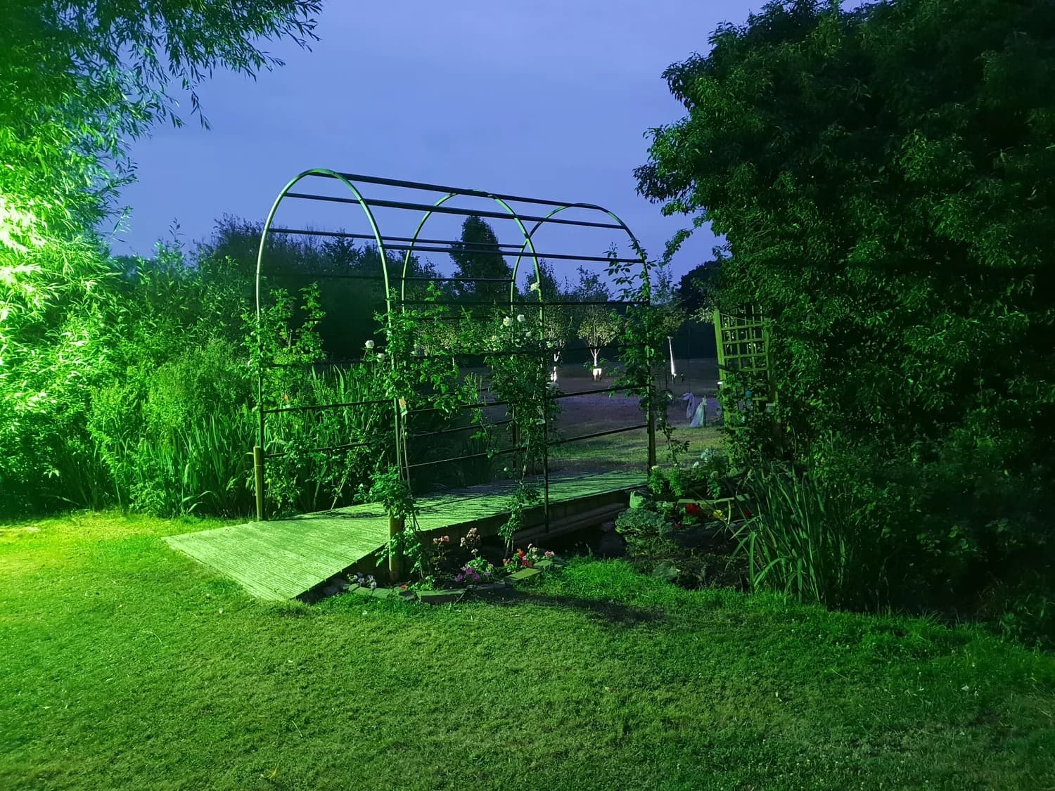 Illuminated garden at dusk in Thorpe Bay