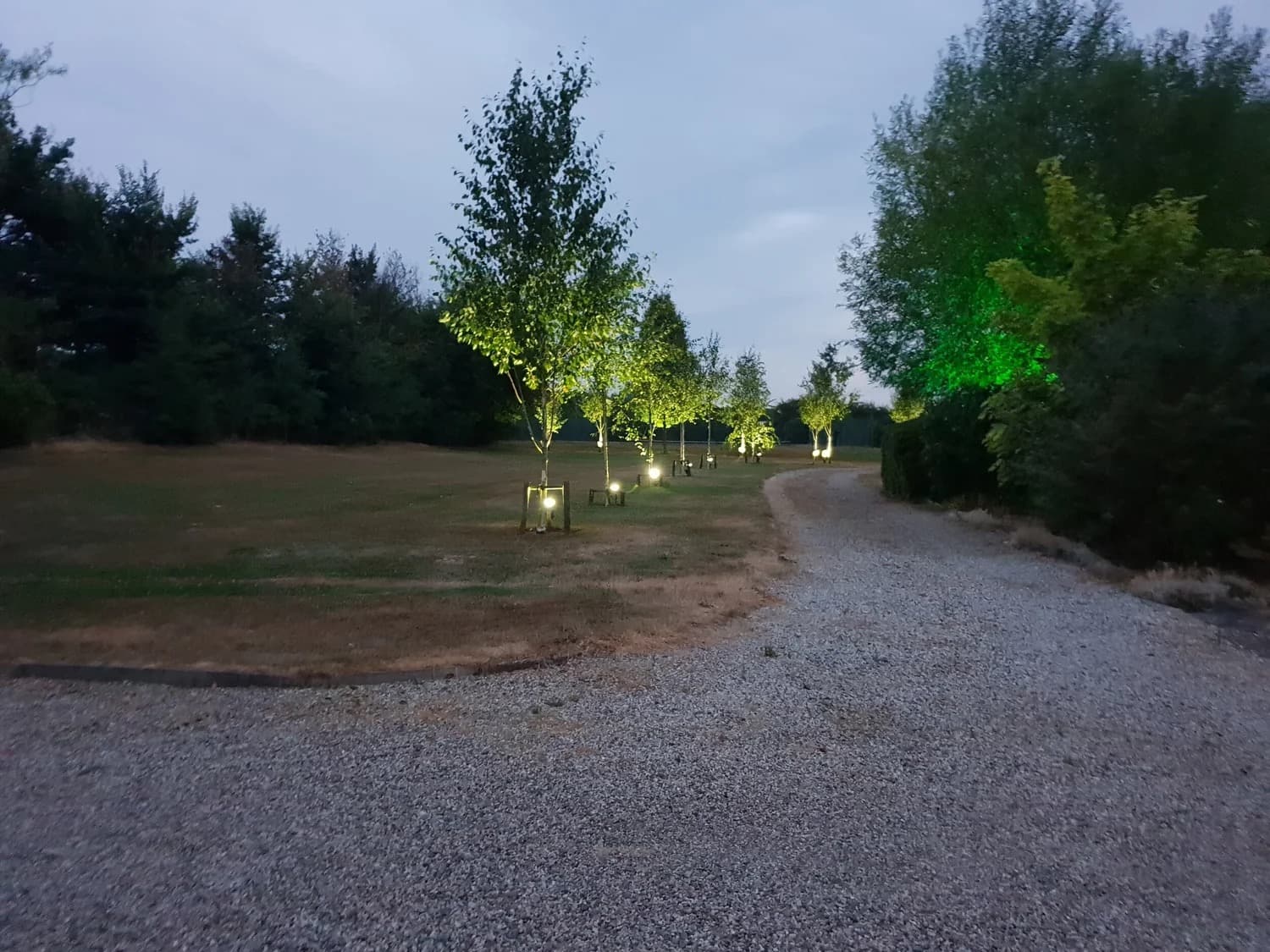 Lit tree-lined path in Wakering